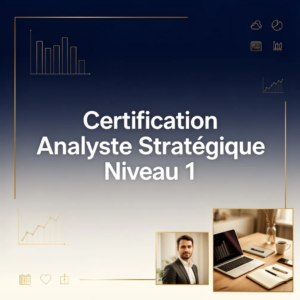 Certification Analyste Stratégique Niveau 1