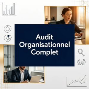 Audit Organisationnel Complet